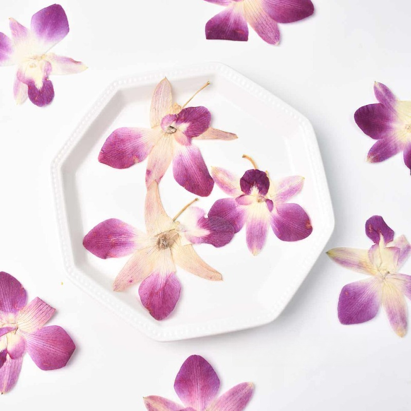 4 stuks, echte geperste vlinde - Embellishment Crafts recensie en prijs