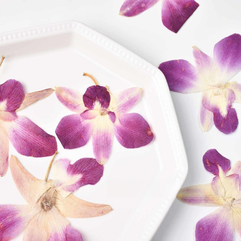 4 stuks, echte geperste vlinde - Embellishment Crafts recensie en prijs