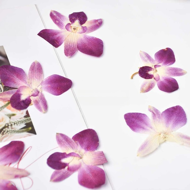 4 stuks, echte geperste vlinde - Embellishment Crafts recensie en prijs