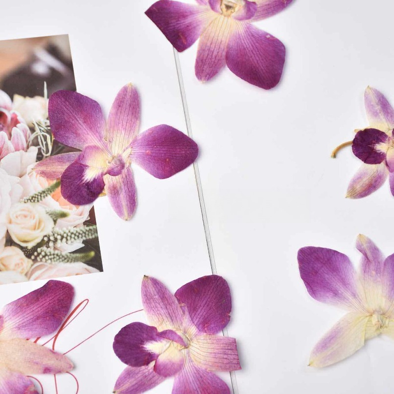 4 stuks, echte geperste vlinde - Embellishment Crafts recensie en prijs